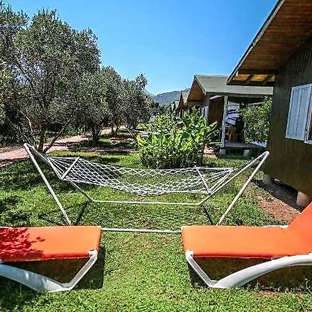 Cirali Zakkum 3* Kumluca